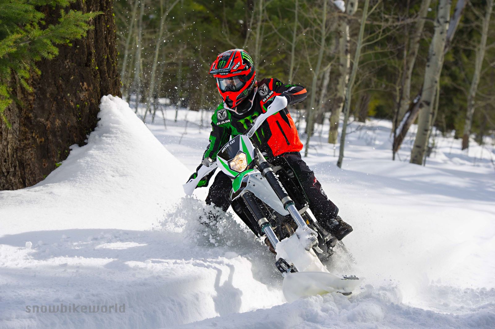 BMW Snowbike